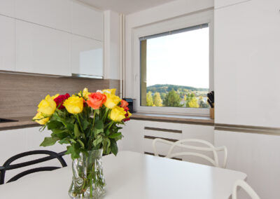 Panelákový byt, kuchyň, kuchyňská linka, jídelní stůl, jídelní židle, interiér panelákového bytu, interiér středočeský kraj