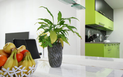 REKONSTRUKCE PANELÁKOVÉHO BYTU ZLÍNSKÝ KRAJ